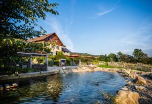 una piscina d'acqua di fronte a una casa di Wellness hotel V Nebi a Kořenov