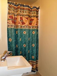 uma casa de banho com uma cortina de chuveiro verde e um lavatório. em Boulevard Inn em Amherst