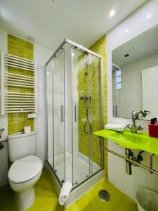 a bathroom with a shower and a toilet and a sink at ESTUDIOS RUDA 4 in Madrid