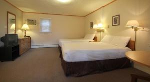 a hotel room with two beds and a television at Maple Leaf Motel in Littleton