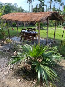 a picnic shelter with a bench and a grass roof at Tara guesthouse - Sauraha,Chitwan in Sauraha