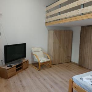 een kamer met een tv, een stoel en een bed bij Árkád Center Apartman in Szeged