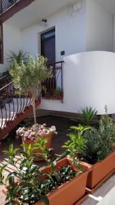Vonkajšia záhrada v ubytovaní Il Cantico B&B