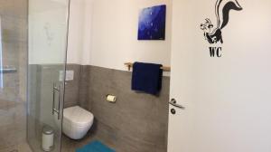 AmlachにあるAppartement Schusternageleのバスルーム(トイレ、ガラス張りのシャワー付)