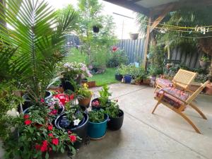 a patio with a bunch of potted plants and a chair at ENTIRE HOME IN WERRIBEE,BEST POSSIBLE LOCATION YOU CAN FIND in Werribee