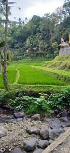 ein Feld mit grünem Gras neben einem Fluss in der Unterkunft Ranggon d'tukad in Tabanan