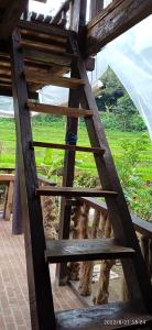 a wooden ladder with a person standing on it at Ranggon d'tukad in Tabanan