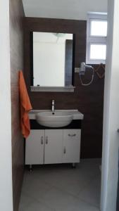 a bathroom with a sink and a mirror at Residence Bethel in Rodrigues Island