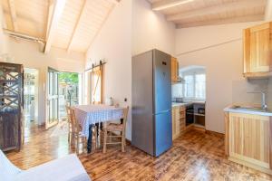A kitchen or kitchenette at Villa Adamantia Paxos