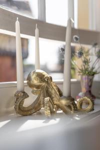 a group of candles and an octopus on a shelf at House Arundel in Arundel