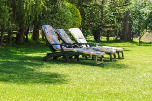 three lounge chairs sitting in the grass in a park at Nyahururu Highlands Heaven -BnB in Nyahururu