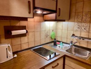 a kitchen with a sink and a microwave at Villa Erika - NEW Luxury Alpine Apartments from December 2026 in Sesto +47 photos