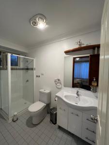 a bathroom with a toilet and a sink and a shower at JOHN HUNTER B&B in Lambton