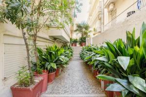a hallway with potted plants on the side of a building at Lovely small (parterre) apartment in Thessaloniki in Thessaloniki