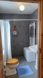 a bathroom with a toilet and a sink at Happy Hill in Youghal