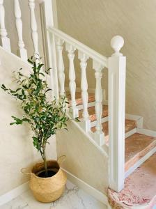 eine Topfpflanze auf dem Boden neben einer Treppe in der Unterkunft Villa Verde in Madrid
