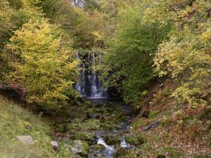 Gallery image of Ladycroft Cottage in Hebden