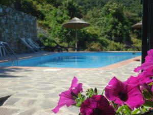 The swimming pool at or close to Hotel Villa Rita