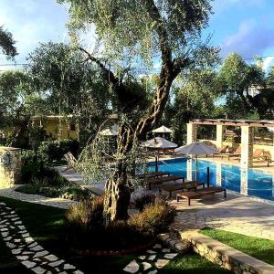 Bazén v ubytování Vassilis Guest House nebo v jeho okolí