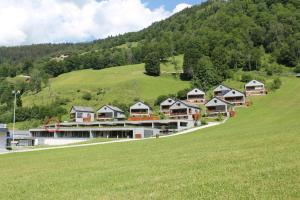 ośrodek wypoczynkowy na wzgórzu z zielonym polem w obiekcie Smaragdresort w mieście Bramberg am Wildkogel