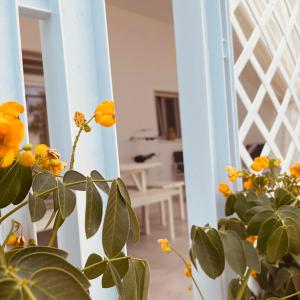 Eine Pflanze mit gelben Blüten vor einem Spiegel in der Unterkunft U Ceccenate in Montalbano + 32 Fotos