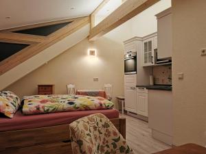 ein Wohnzimmer mit einem Bett und eine Küche in der Unterkunft Altstadtidyll in Meißen