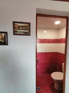 a bathroom with a toilet and red tile at Къща за гости Градината in Dobrinishte