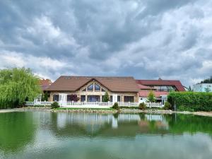 a house with a pond in front of it at VILA Restaurant Transilvania in Zărneşti