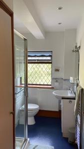 baño con aseo y lavabo y ventana en Beautiful Bexhill Cottage with garden 3 mins walk to beach en Bexhill