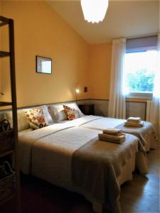 El Rasillo的住宿－CASA OIHANA，一间卧室设有一张大床和一个窗户。