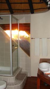 ein Bad mit einer Dusche, einem WC und einem Waschbecken in der Unterkunft Kruger River Villas - Mtombo in Marloth Park