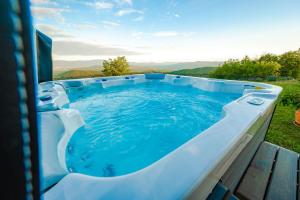 a large plunge pool with blue water in a yard at Villa Zupan with Hot Tub in Škocjan