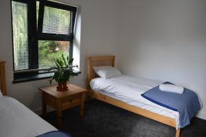 a bedroom with a bed and a plant on a table at Cozy & Bright 2-Bedroom Apartment with Large Balcony and Free Parking in Oxford