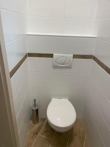 a bathroom with a white toilet in a room at Moonlight Apartment in Siófok