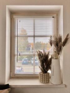 Gallery image of Fisheria Apartamentai in Preila