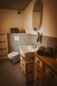 een badkamer met een wastafel, een toilet en een spiegel bij FERIENPARADIES AM KAMMERBERG - ein ganzes Haus für Sie alleine!!! in Weißenhorn