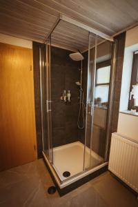 een badkamer met een glazen douchecabine bij FERIENPARADIES AM KAMMERBERG - ein ganzes Haus für Sie alleine!!! in Weißenhorn