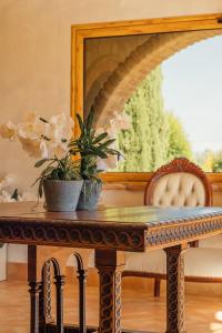 a table with a potted plant and a mirror at Tenuta Un Posto Al Sole Luxury B&B in Rossano Stazione