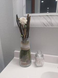 a vase with a flower in it on a counter at Torres Tiny Home Midtown WestTampa RJS in Tampa
