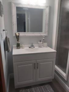 y baño con lavabo blanco y espejo. en Torres Tiny Home Midtown WestTampa RJS, en Tampa