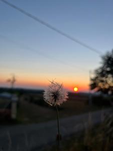 Východ nebo západ slunce při pohledu z penzionu nebo okolí