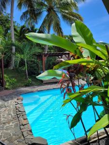 - une piscine en face d'un complexe avec des palmiers dans l'établissement Domaine Karaibes, à Deshaies