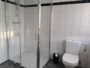 a bathroom with a toilet and a glass shower at La Maison de Lucie - grande maison idéale en famille ou entre amis - jardin - parking gratuit in Sélestat