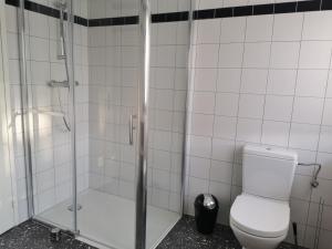 W łazience znajduje się toaleta i przeszklony prysznic. w obiekcie La Maison de Lucie - grande maison idéale en famille ou entre amis - jardin - parking gratuit w mieście Sélestat +23 zdjęcia