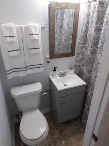 a bathroom with a toilet and a sink and a mirror at The Torres' Loft West Tampa MidTown Raymond James Stadium in Tampa +12 photos