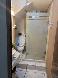 y baño con ducha, aseo y lavamanos. en Departamento D centrico 2 camas Tv Ac wifi cocina parking, en Ciudad Valles