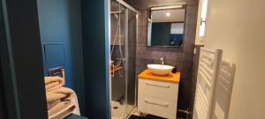a bathroom with a sink and a shower at Les bords de Seine in Vernon +17 photos