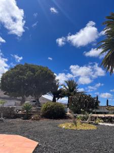 a group of palm trees and a blue sky at Casa Helena in Tiagua