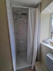 a shower with a shower curtain in a bathroom at Trelawney Cottage, Sleeps up to 4, Wifi, Fully equipped in Menheniot