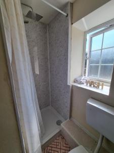 uma casa de banho com um chuveiro, um lavatório e uma janela em Trelawney Cottage, Sleeps up to 4, Wifi, Fully equipped em Menheniot